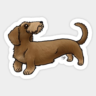 Dog - Wire-Haired Dachshund - Red and Tan Sticker